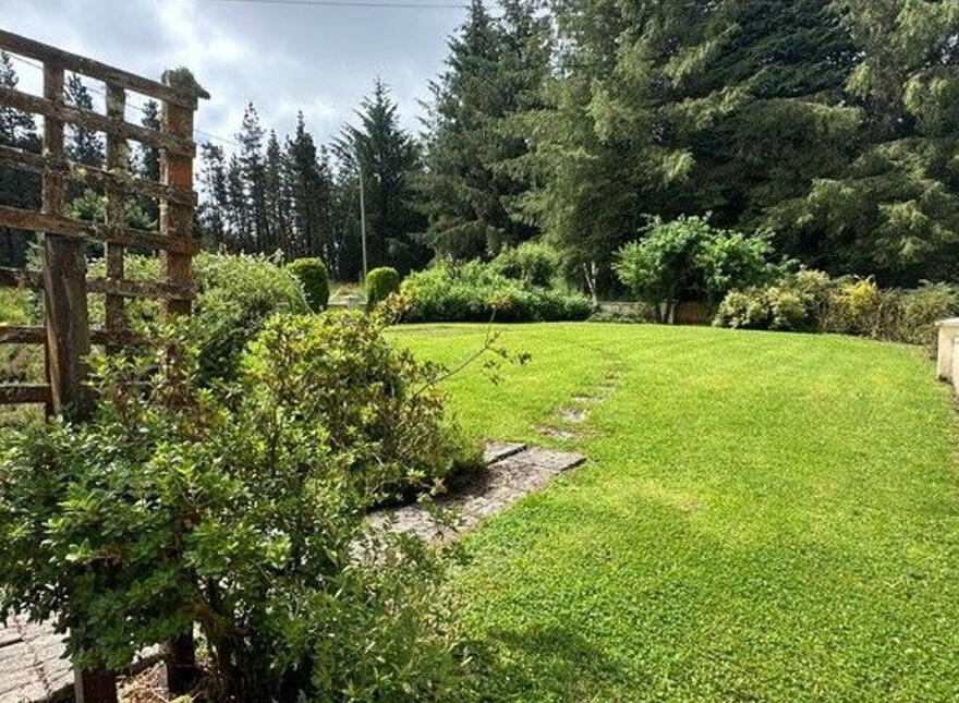 Garrycummer, Kilcommon, Thurles, E41E394