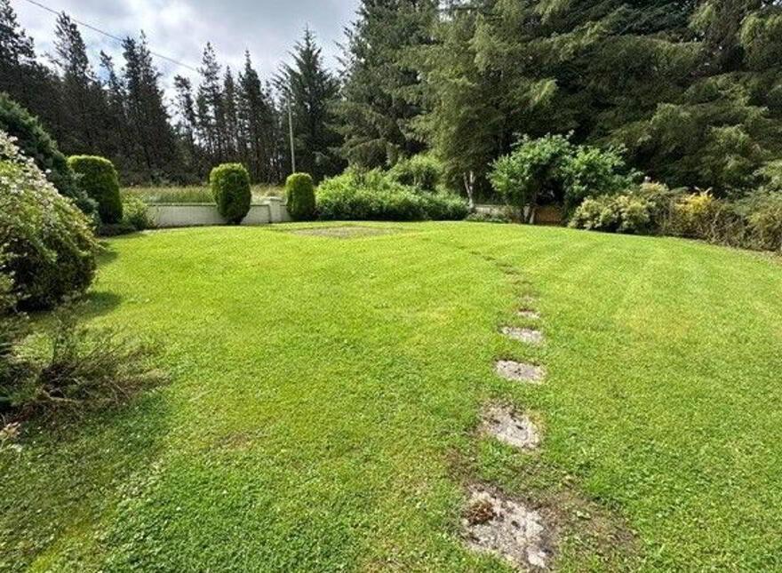 Garrycummer, Kilcommon, Thurles, E41E394