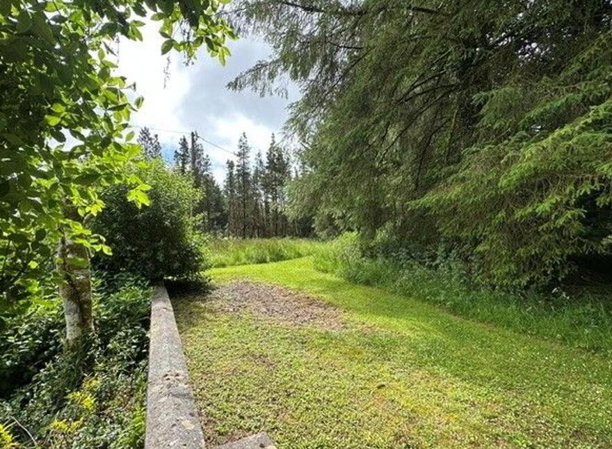 Garrycummer, Kilcommon, Thurles, E41E394