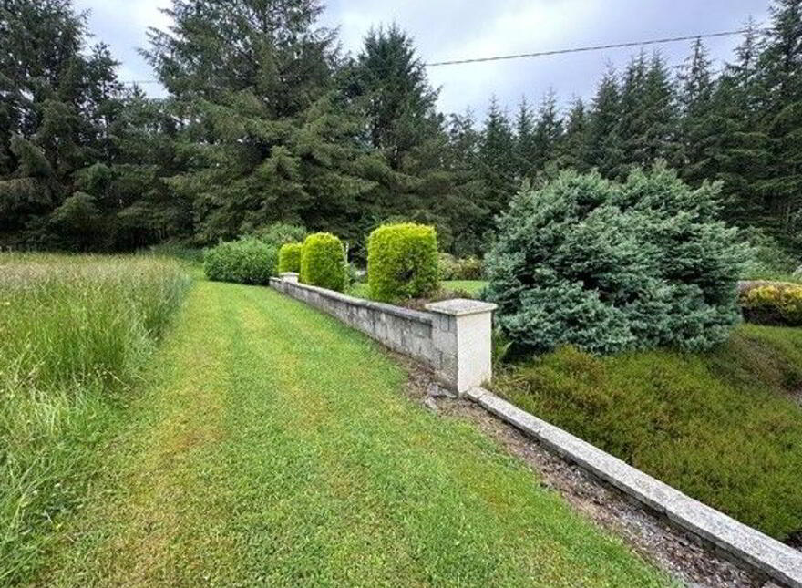 Garrycummer, Kilcommon, Thurles, E41E394