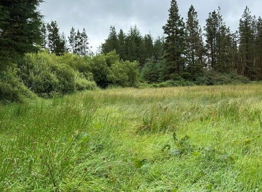 Garrycummer, Kilcommon, Thurles, E41E394