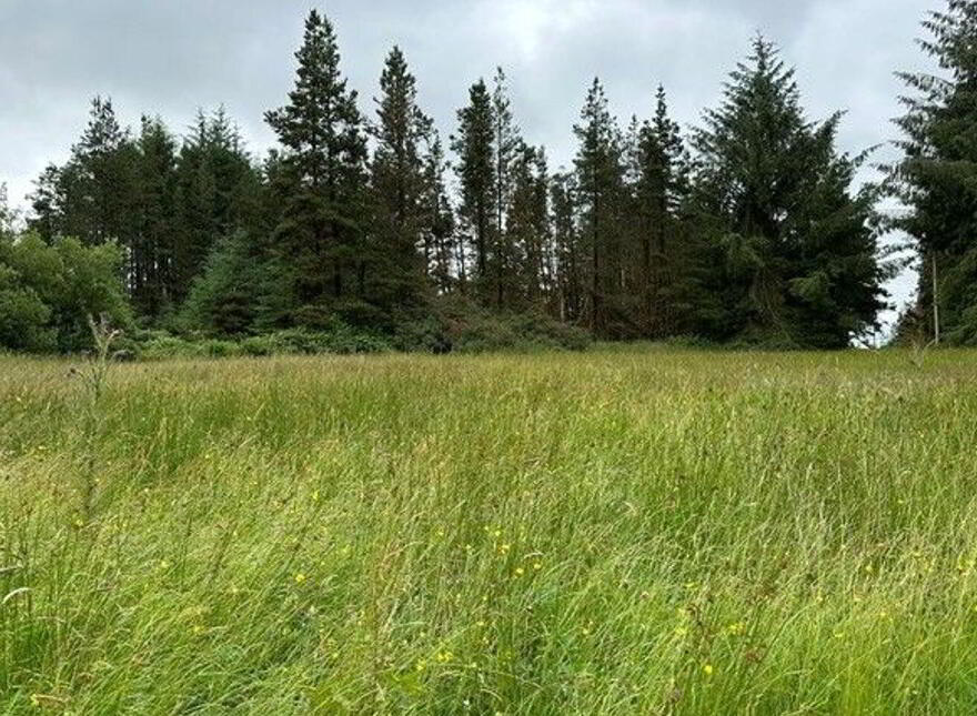 Garrycummer, Kilcommon, Thurles, E41E394