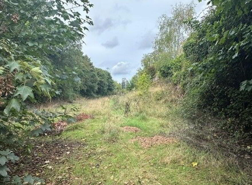 Ballynonty, Thurles, E41NP86