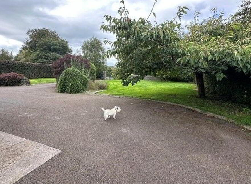 Beakstown, Holycross, Thurles, E41FC82