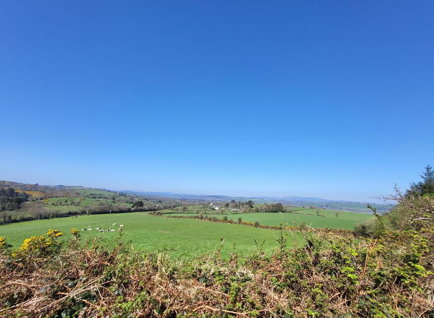 Toames, Macroom
