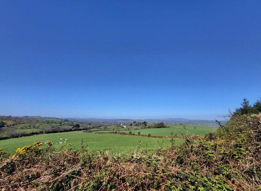 Toames, Macroom