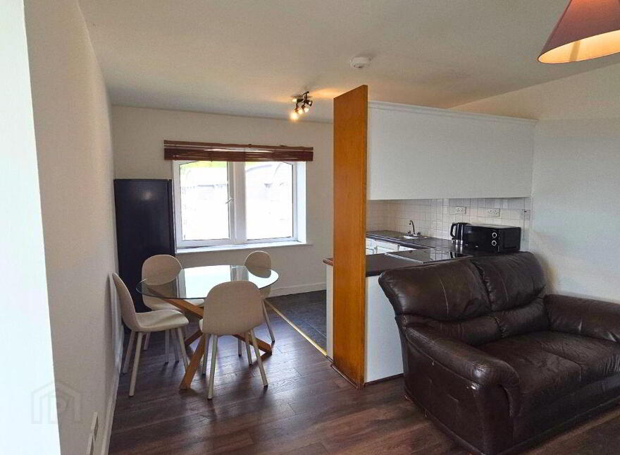 Apartment 519 River Towers, Lee Road, Sunday's Well, T23VK65