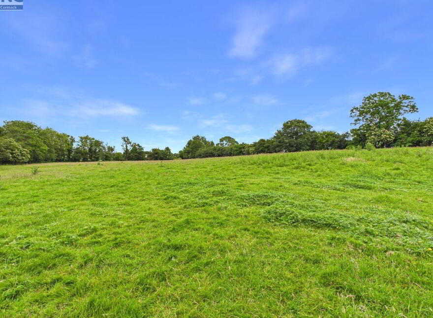 Ballyoliver House, Ballyoliver, Rathvilly, R93HX93