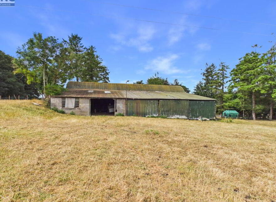 Ballyoliver House, Ballyoliver, Rathvilly, R93HX93