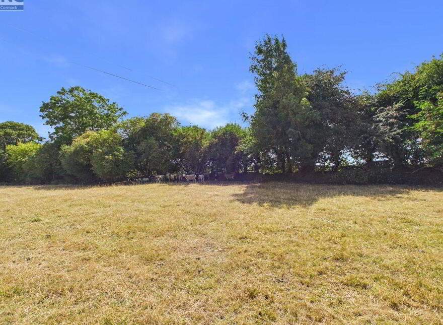 Ballyoliver House, Ballyoliver, Rathvilly, R93HX93