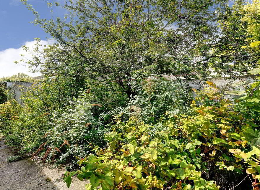 15 Old Bawn Drive, Old Bawn, Dublin 24, D24