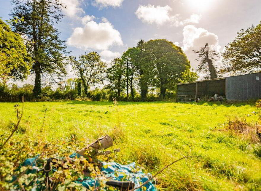 Kilcurry, Colehill, Moydow, N39R967