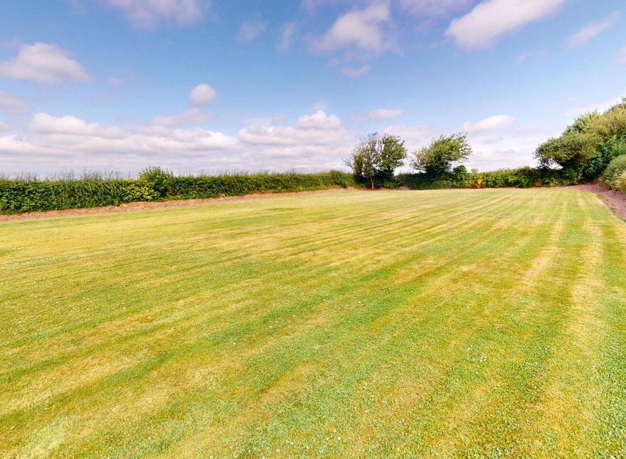 Ballyeden, Davidstown, The Leap, Y21F3P4