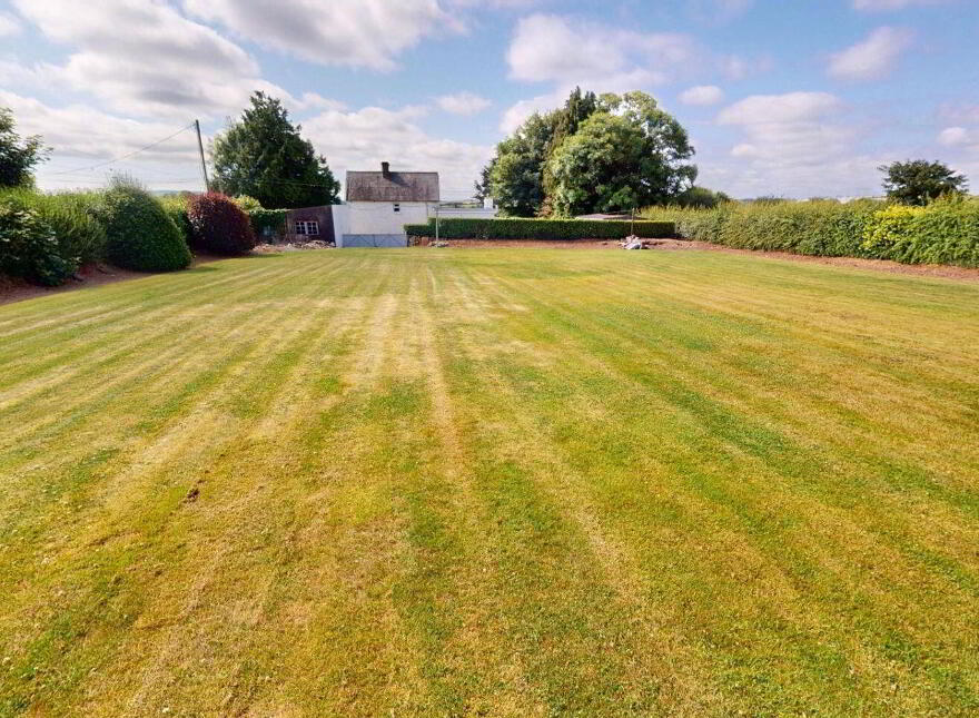 Ballyeden, Davidstown, The Leap, Y21F3P4