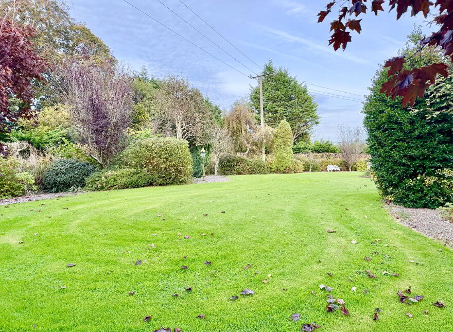Castleharrisson, Ballyhea, Charleville, P56DE44