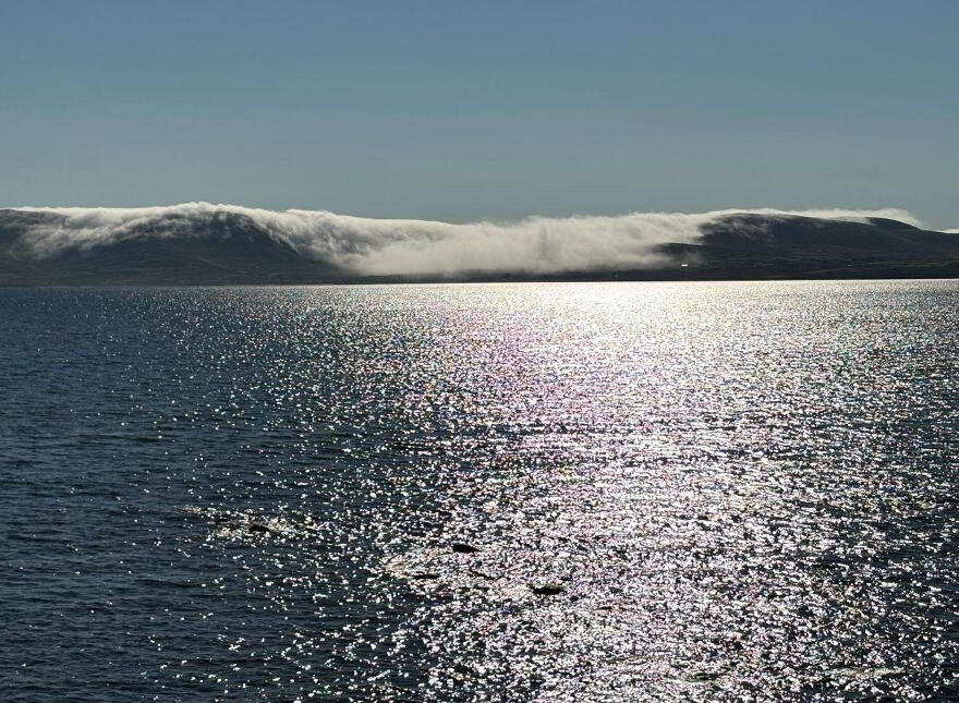 Termons West, Waterville, Waterville, V23DK46