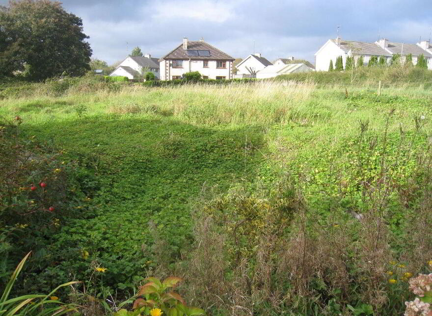 7 Pound Street, Edgeworthstown, N39E786