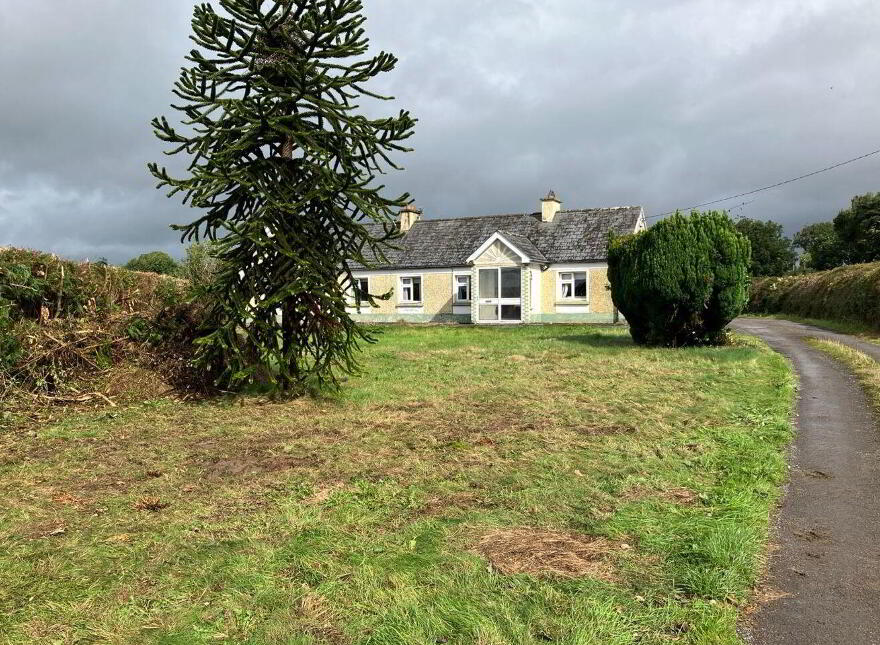 Tipper, Newtowncashel, N39EF89