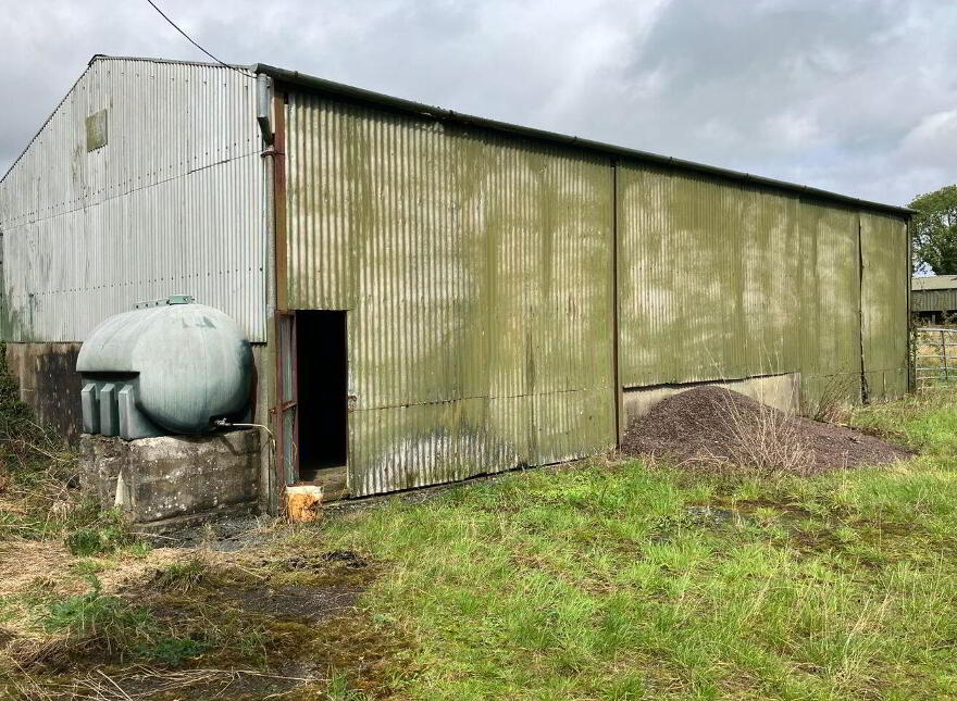 Tipper, Newtowncashel, N39EF89