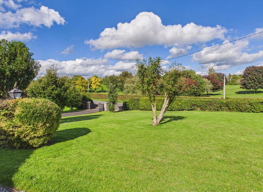 Oultort, Portumna, H53TR90