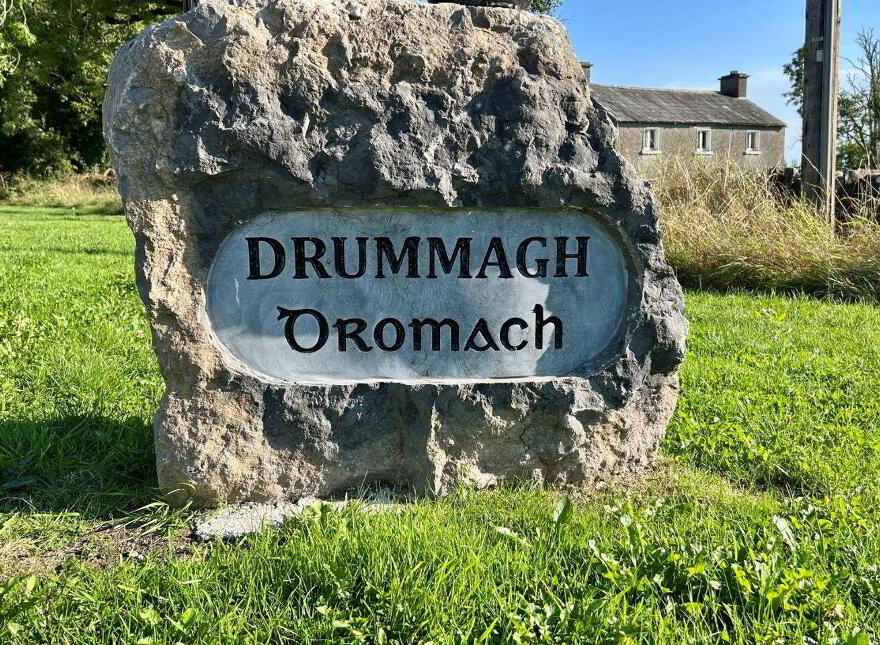 Millbourne House, 42 Drummagh, Carrick-On-Shannon, N41FF61