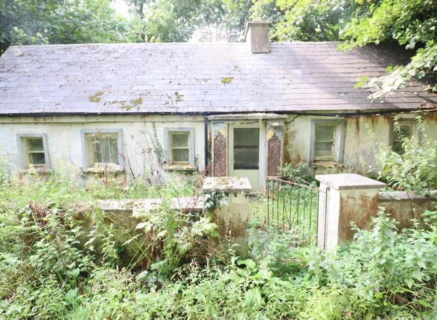 Griston, Ballylanders, V35DF70