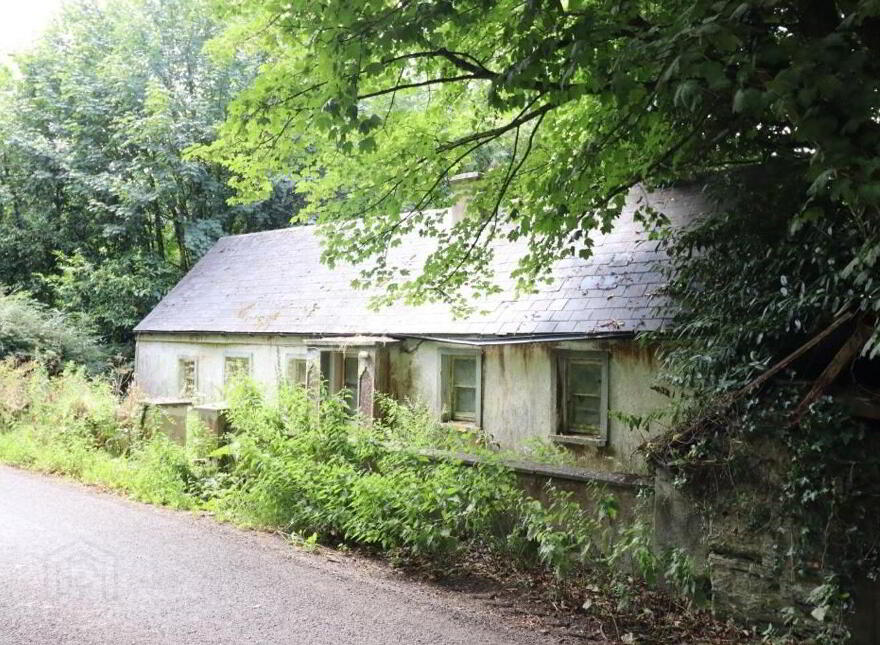 Griston, Ballylanders, V35DF70