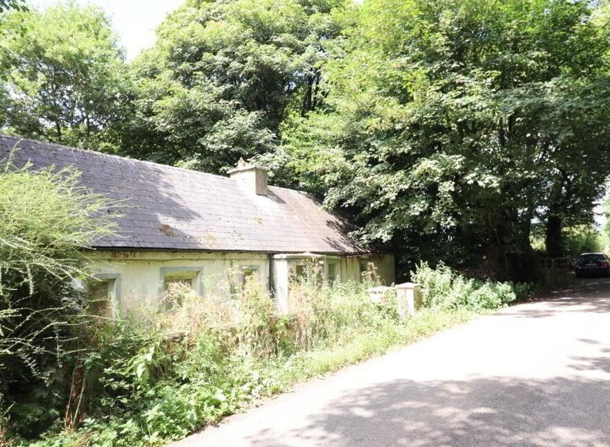 Griston, Ballylanders, V35DF70