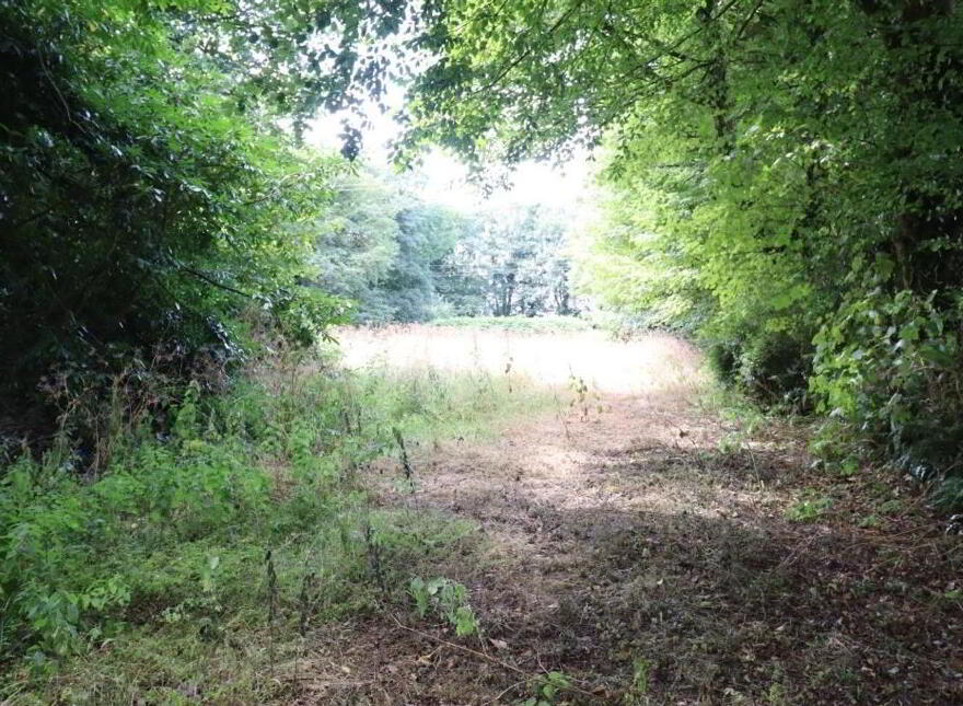 Griston, Ballylanders, V35DF70