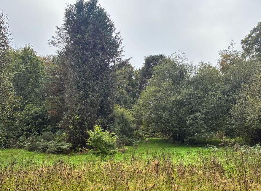 Rocklodge, Carrigrohane, T12P2FP