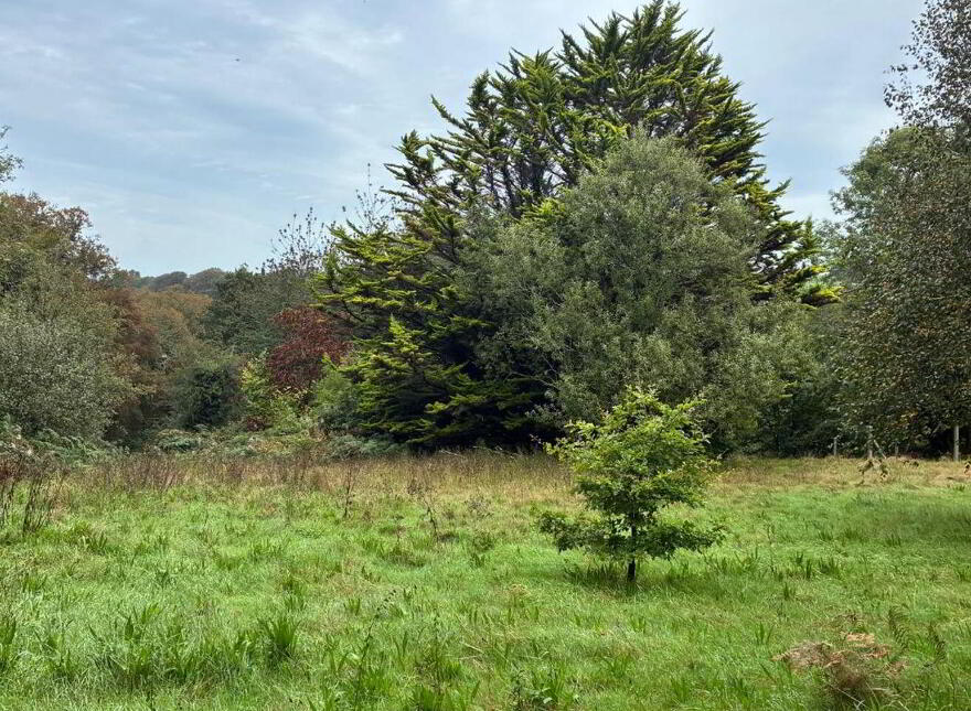 Rocklodge, Carrigrohane, T12P2FP