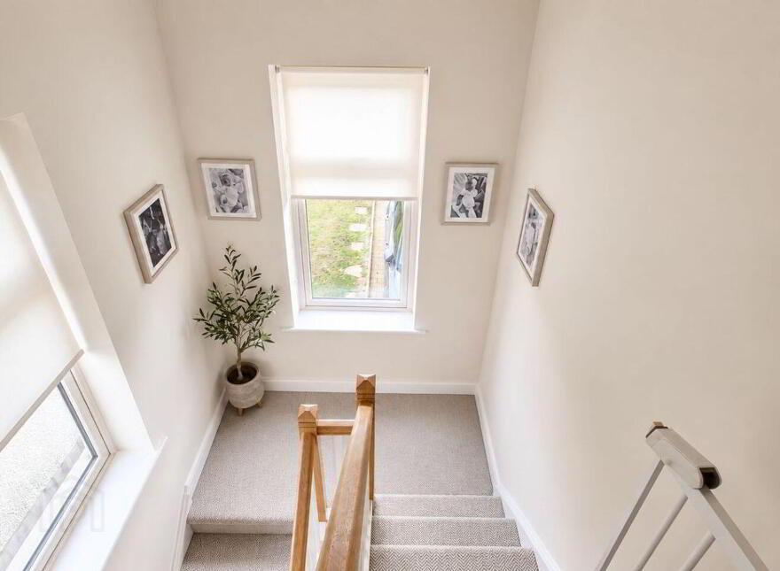 16 The Willows, Janeville, Carrigaline, P43E089