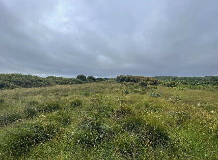 Maumeem, Barony, Lettermore