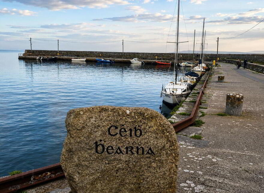 L'Chaim, Cnocán An Bhodaigh, Furbo, H91A3VK