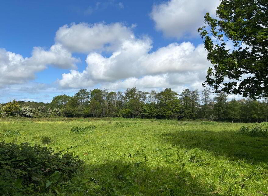 Ballyseedy, Camp, Tralee, V92VW7E