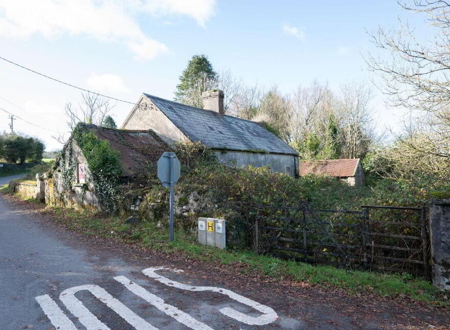 Cush Of Grange, Grange