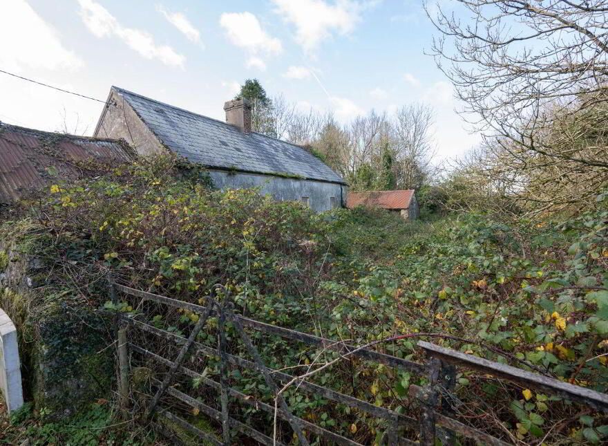Cush Of Grange, Grange