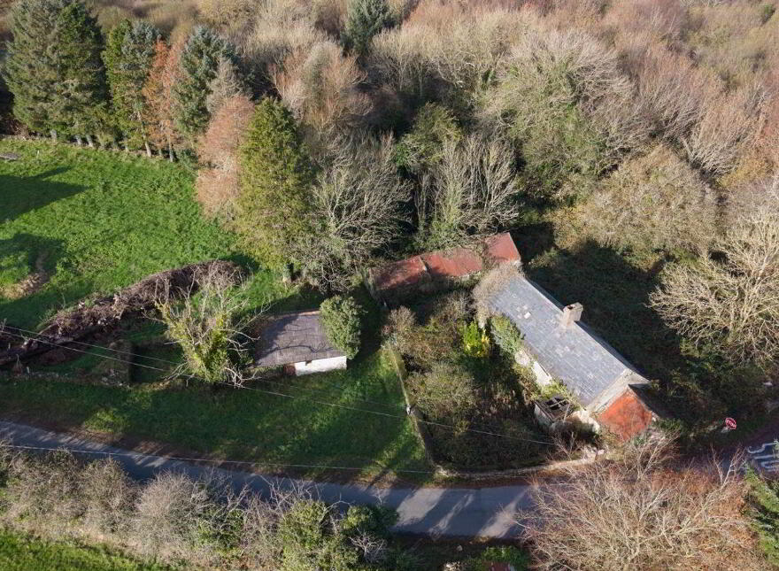 Cush Of Grange, Grange