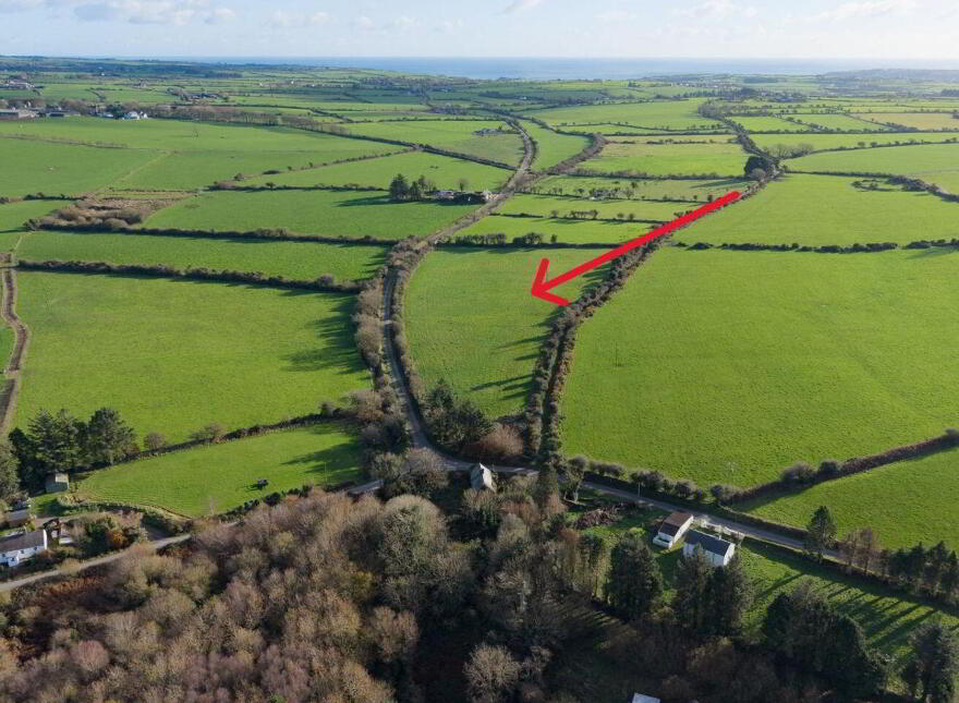 Cush Of Grange, Grange