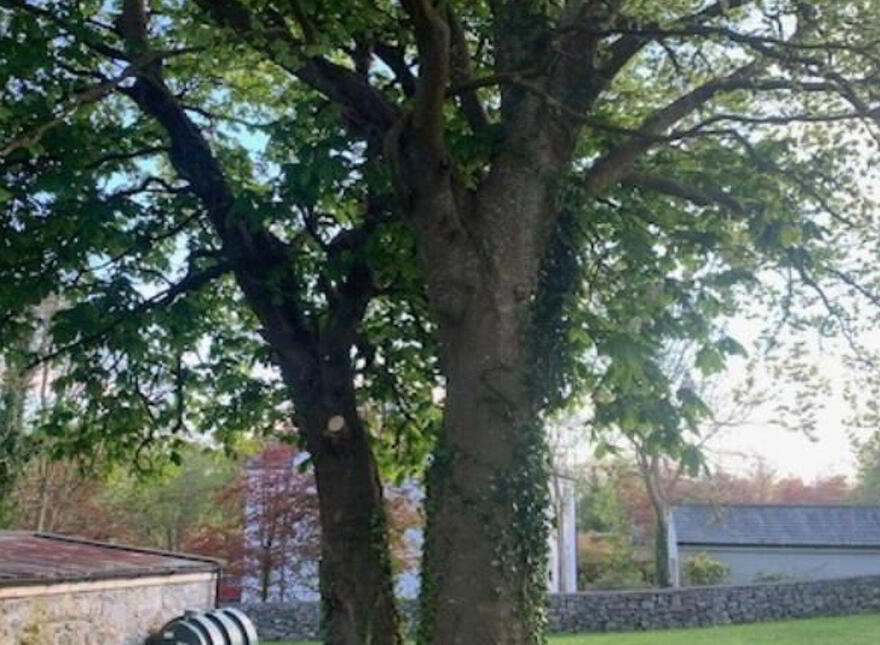Chestnut Lodge, Annaghdown, H91R504