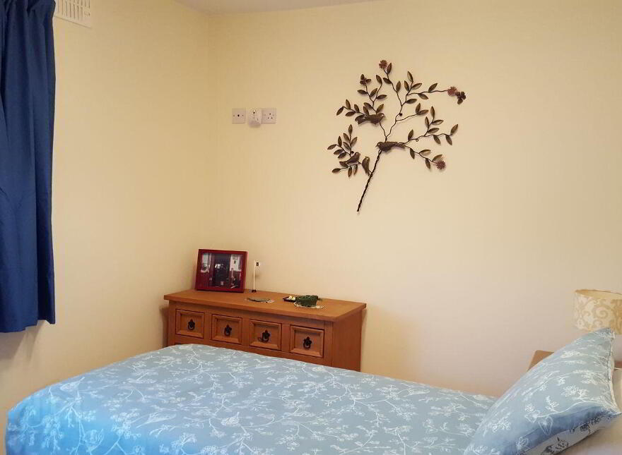 13 Garrai Ard, Banagher