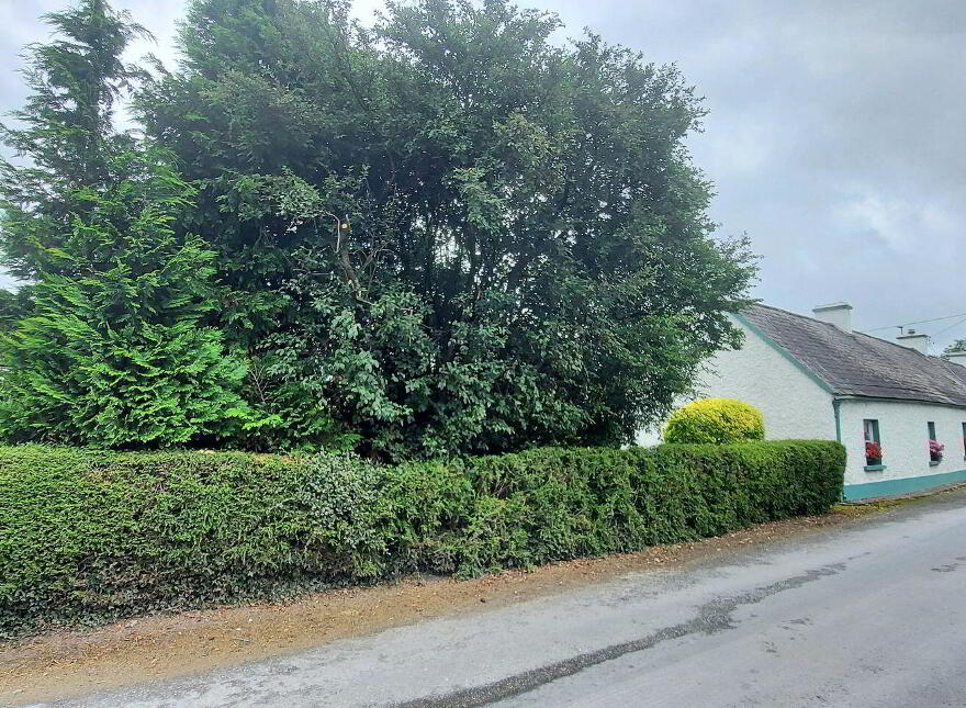 Carrig, Birr, R42V261