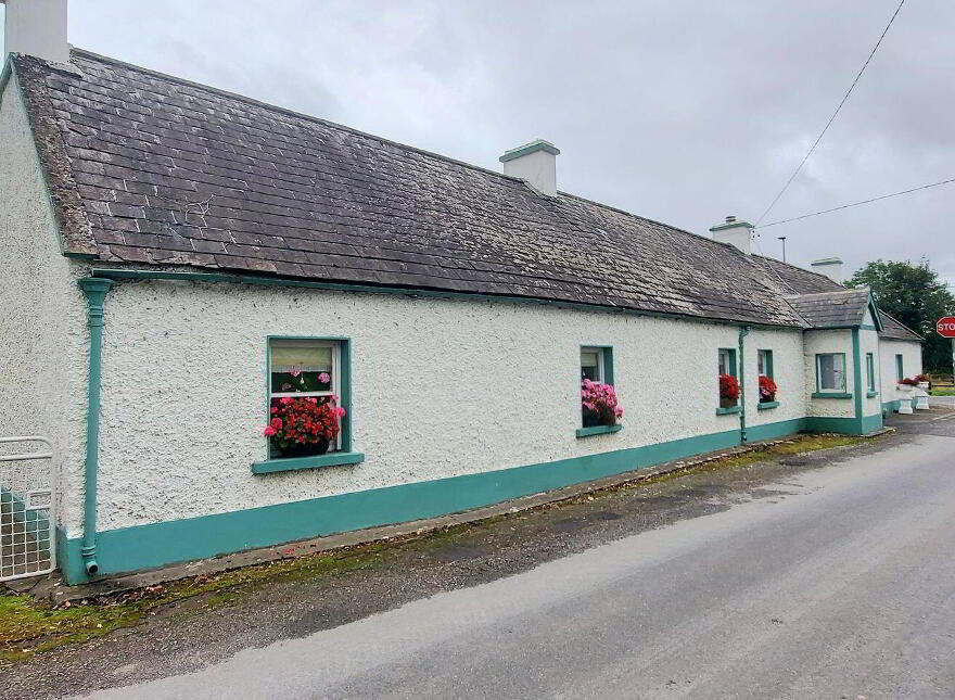 Carrig, Birr, R42V261