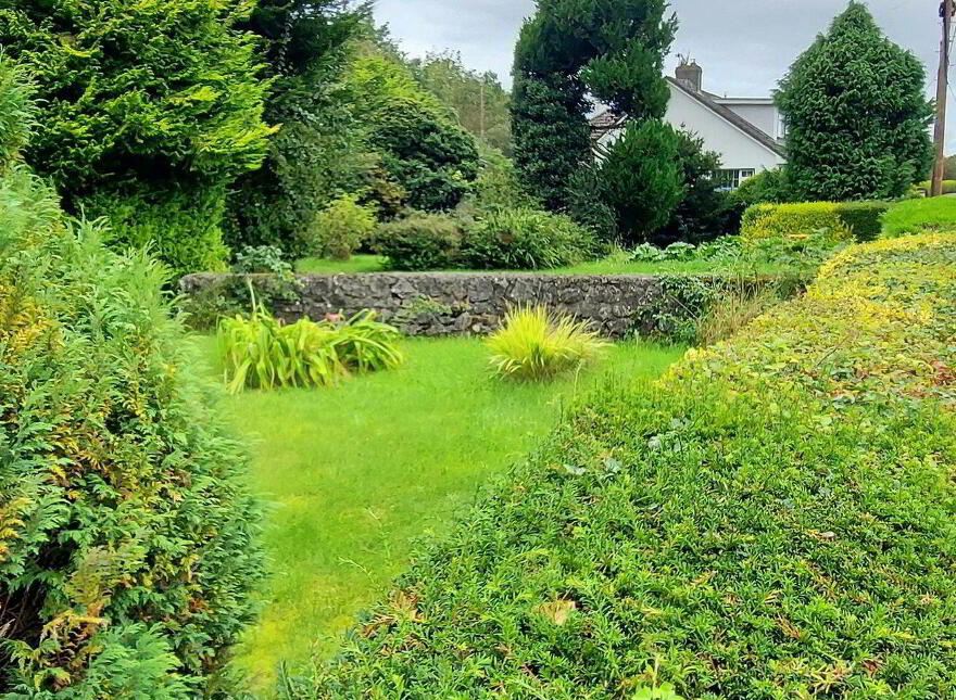 Carrig, Birr, R42V261