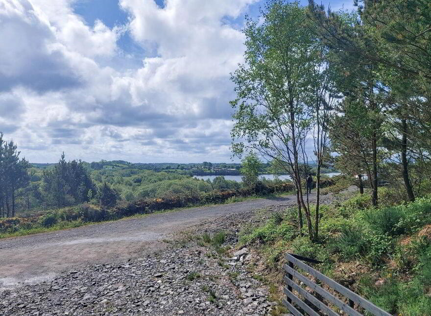 Tully Commons, Castlebar photo