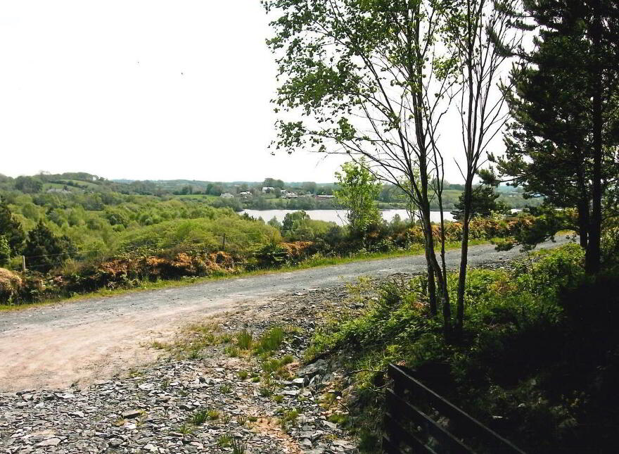 Tully Commons, Castlebar