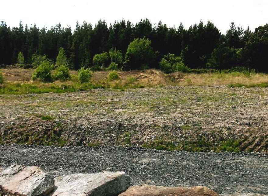 Tully Commons, Castlebar