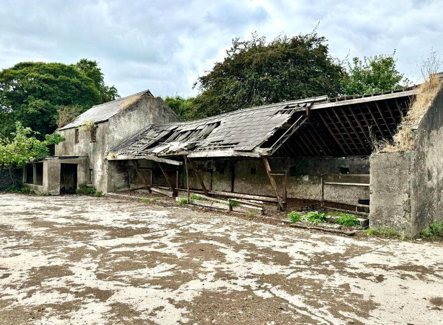 Shanmullagh, Hackballscross, Inniskeen, A91VH64