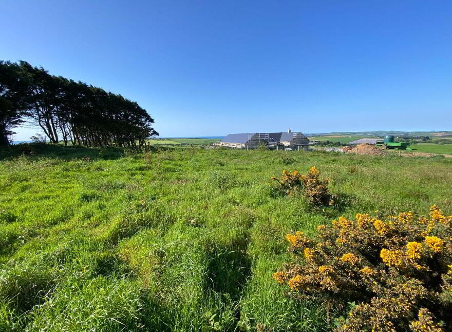 Clashreagh, Kilbrittain photo