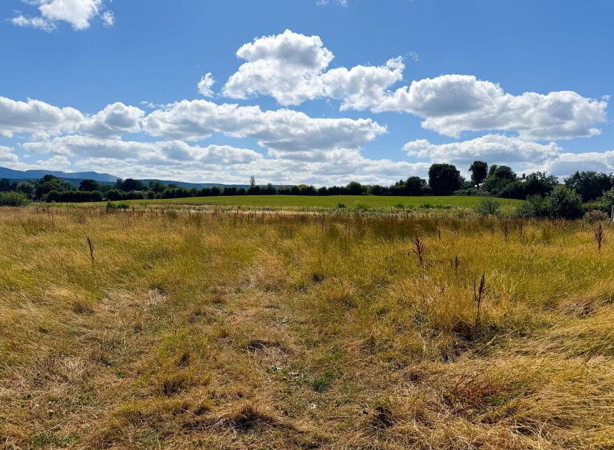 Limerick Road, Tipperary Town